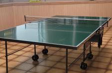 Anna Altreichenau - Foto 35