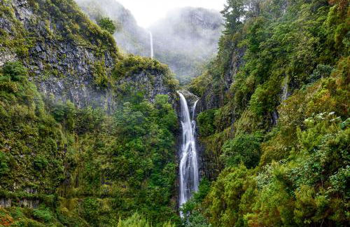 Recanto das Florenças (2) - Photo 50