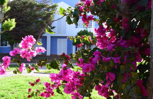 Club Ciudadela - Foto 27