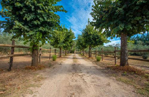 Kenya - Écuries du Mas di Gau - Foto 35