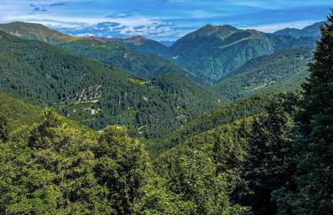 Studio VERDE - Foto 28