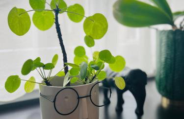 Boutique Apartment Lola - Foto 13