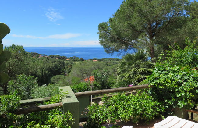 Piccola Oasi 4 - Photo 35