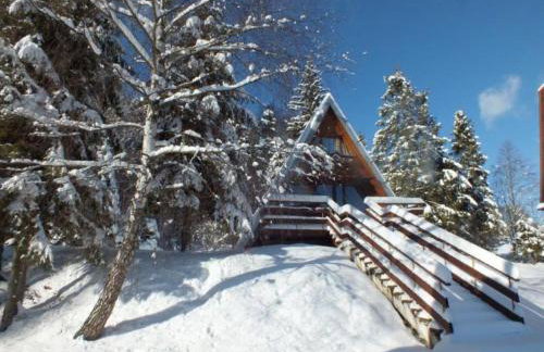 Perełka Bieszczady Domki - Photo 9