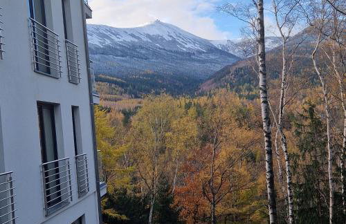 Apartamenty KADO (MATEJKI) - Photo 5