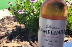 Casa Vitorino - Foto 14