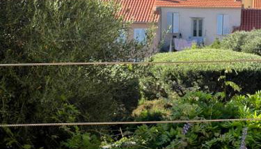 Solacargese-Les Chemins de Sonia-Terrasse face à la mer-Cargèse la Grecque - Foto 5, Garden view