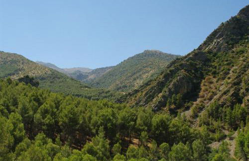 La Casería Azul de Cuadros - Foto 46