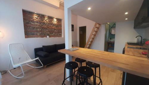 Toulouse centre Compans Caffarelli Superbe Studio - Foto 4