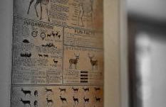 Le Petit Erable - Foto 10