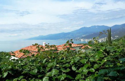 Va Kastav - Photo 25