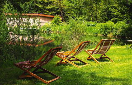 Apartment in Alsace With Nature Retreat - Foto 29