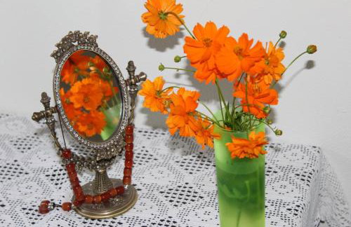 Apartments Spiros Pelion - Foto 32