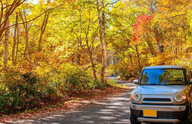 Myoko Onsen cottage Ajisai - Foto 42