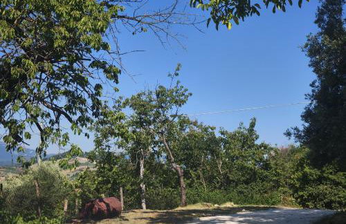 GrazieSole Agriturismo mattone upstairs e downstairs - Foto 25