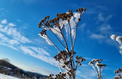 Ferienwohnung Kreuzberg - Foto 40