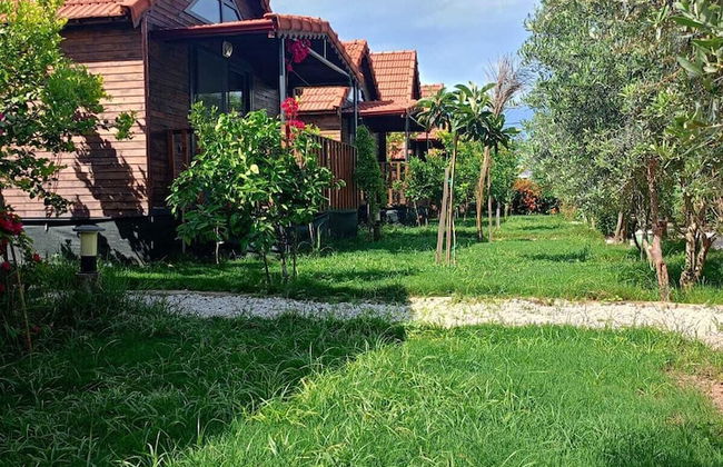 Riviera Bungalow Evleri Demre - Photo 70