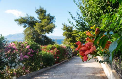 ILIOCHARI sea view apartments Oropos - Kalamos - Foto 34