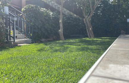 Il giardino dell'Etna - Foto 10