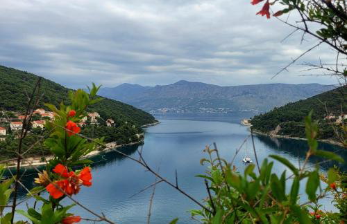 Apartment Bakarosa - Foto 34