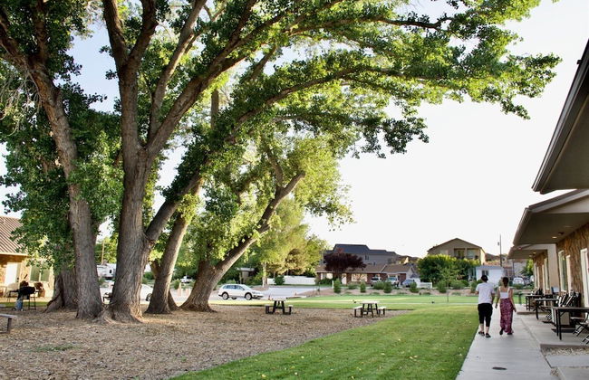 Zion's Camp and Cottages - Photo 58