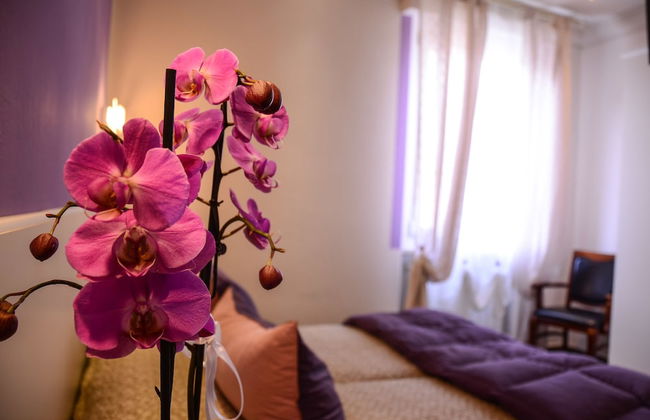 Il Piccolo Piacenza - Foto 17