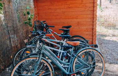 Purple House - Arboriamar Platamona - Photo 43