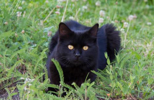 Kellnerhof - Foto 52