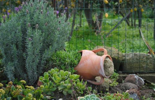 Green Island Apartment - Foto 20