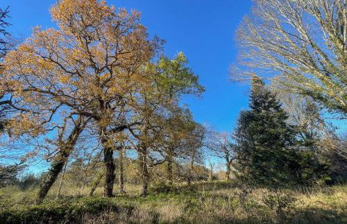 Domaine forestier Darricau au bord du lac, 12 min de l'océan - Foto 63