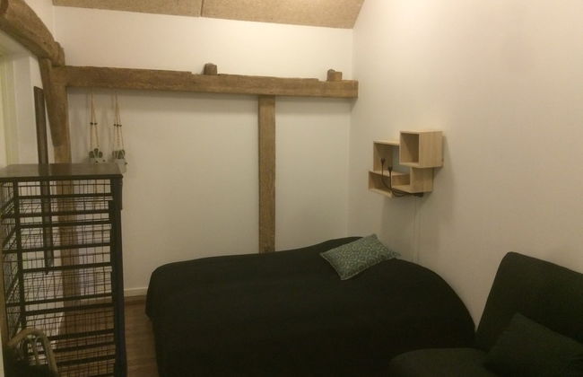 Adventure Park Apartments - Foto 10