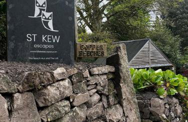 The Beech Hut, Wood Fired Hot Tub, St Kew Escapes - Foto 22