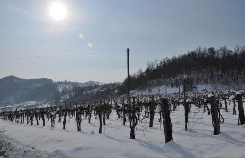 Agriturismo Tenuta Antica - Foto 95