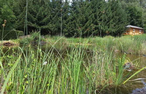 Froschkönig mit Teichblick - Photo 41