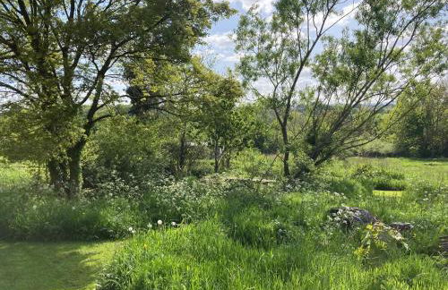 The Stable with cozy logburner - Foto 33