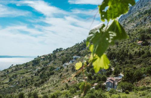 Apartment Kuzmanić - Foto 15