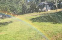 Alvin with all serenity and bliss and yet close dearly - Foto 12