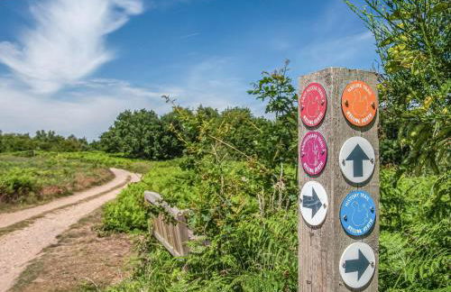 Robin's Retreat - Photo 33