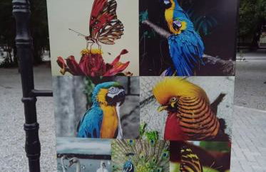 Casa condomínio clube - Foto 56