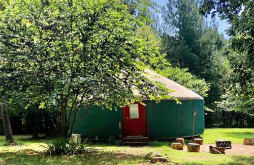 Magical Yurt Rental for Glamping in North Carolina - Photo 16