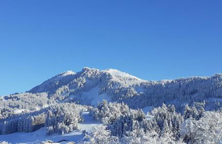 Ferienwohnung mit Dampfbad - Photo 15