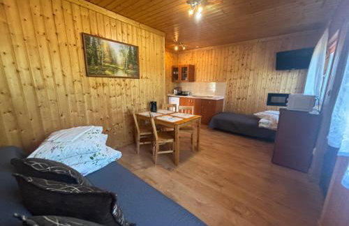 Zielona Przystan - Photo 11