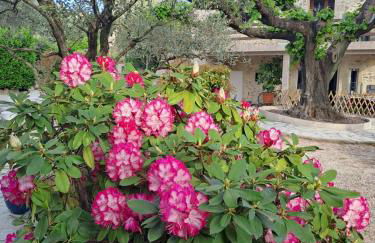 Gîte 2 "Le Tilia " aux magnolias 3 étoiles - Foto 31