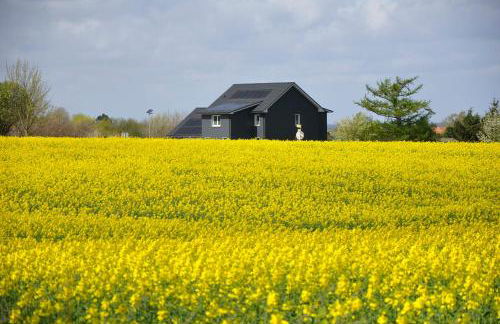 Ostseeblick - Foto 6