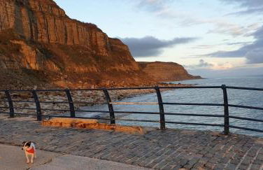 Beautiful Garden Apartment in Leafy St Leonards 5 Mins to Beach - Foto 16