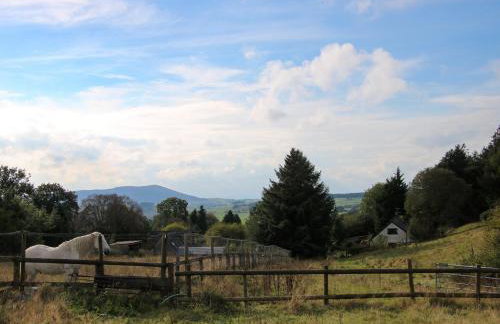 The Chicken Coop - Foto 21