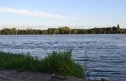 Gîte Dagueloire - Photo 42