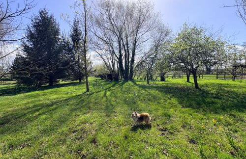 Peacock Barn - Photo 13
