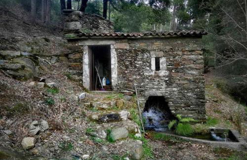 Viana do Castelo - Amonde Village Casa P - Conforto Qualidade Natureza - Foto 49