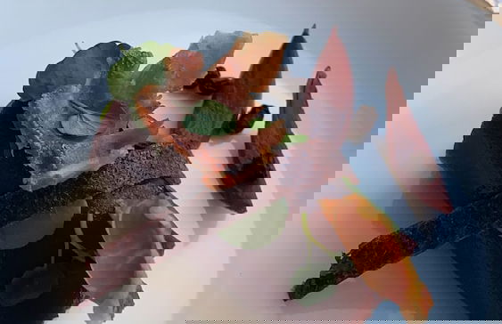 Château de Blet - Foto 38